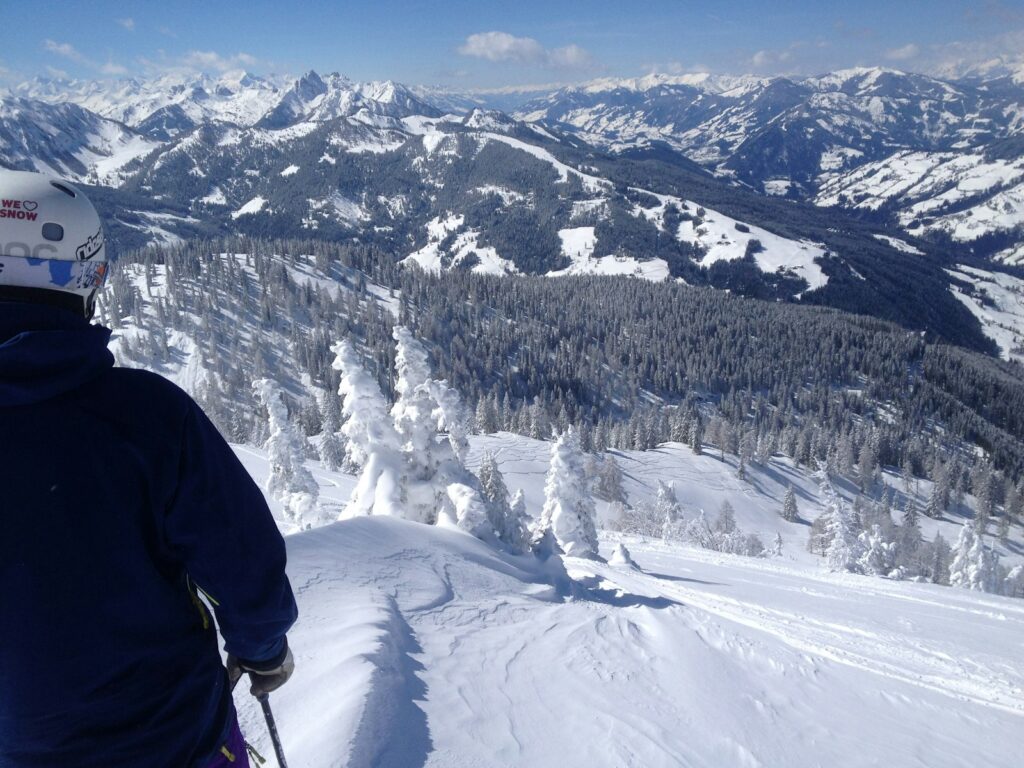 Skiër kijkt uit over besneeuwde bossen