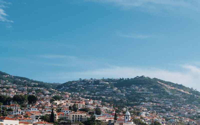 Funchal tegen de heuvels boven de haven
