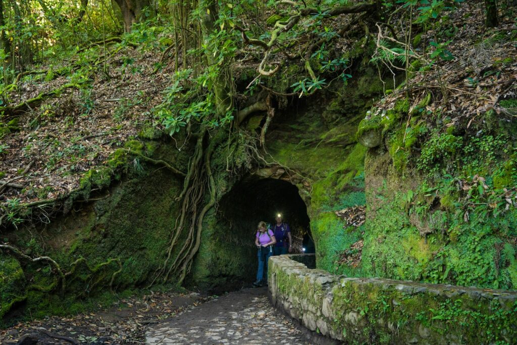 Wandelaar bij een tunnel op de Levada do Caldeirão Verde