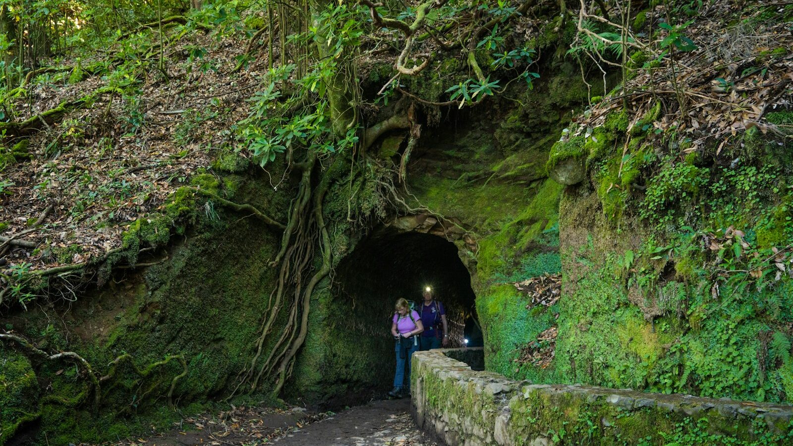 Madeira
